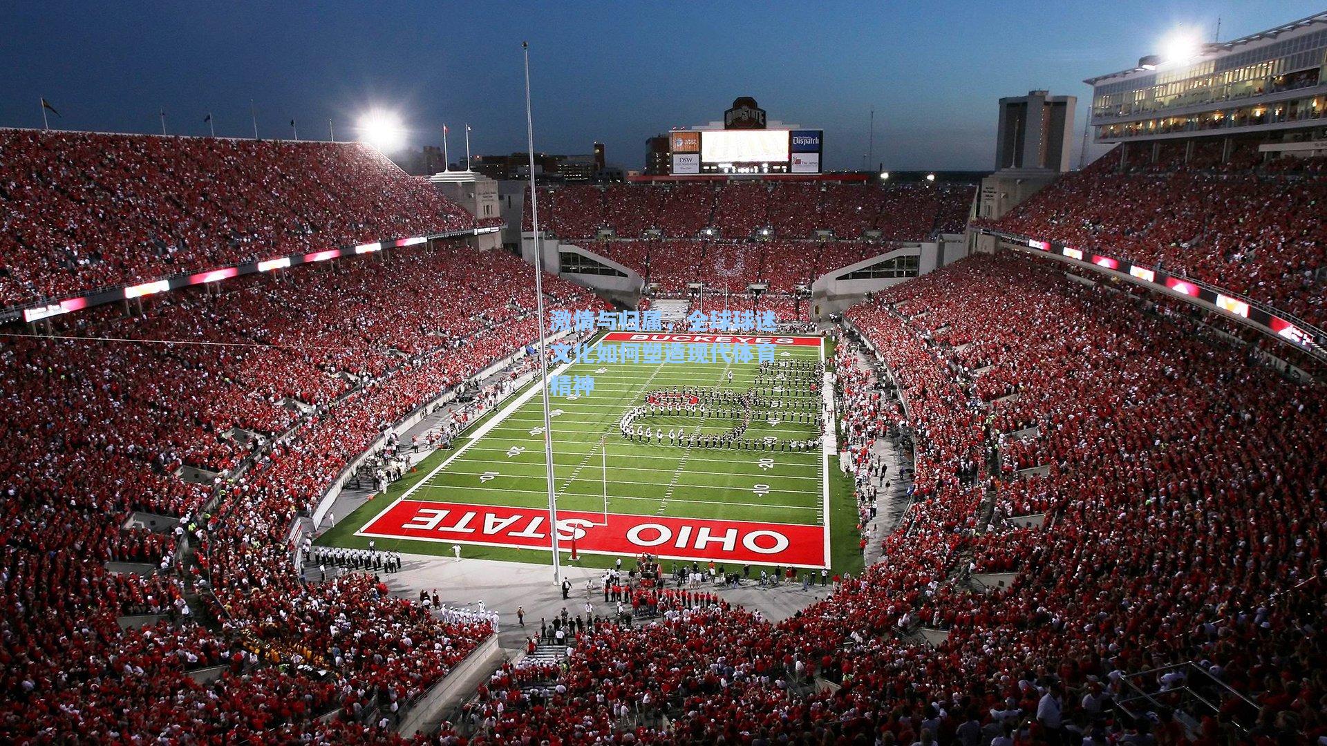 【天天盈球官网】激情与归属，全球球迷文化如何塑造现代体育精神