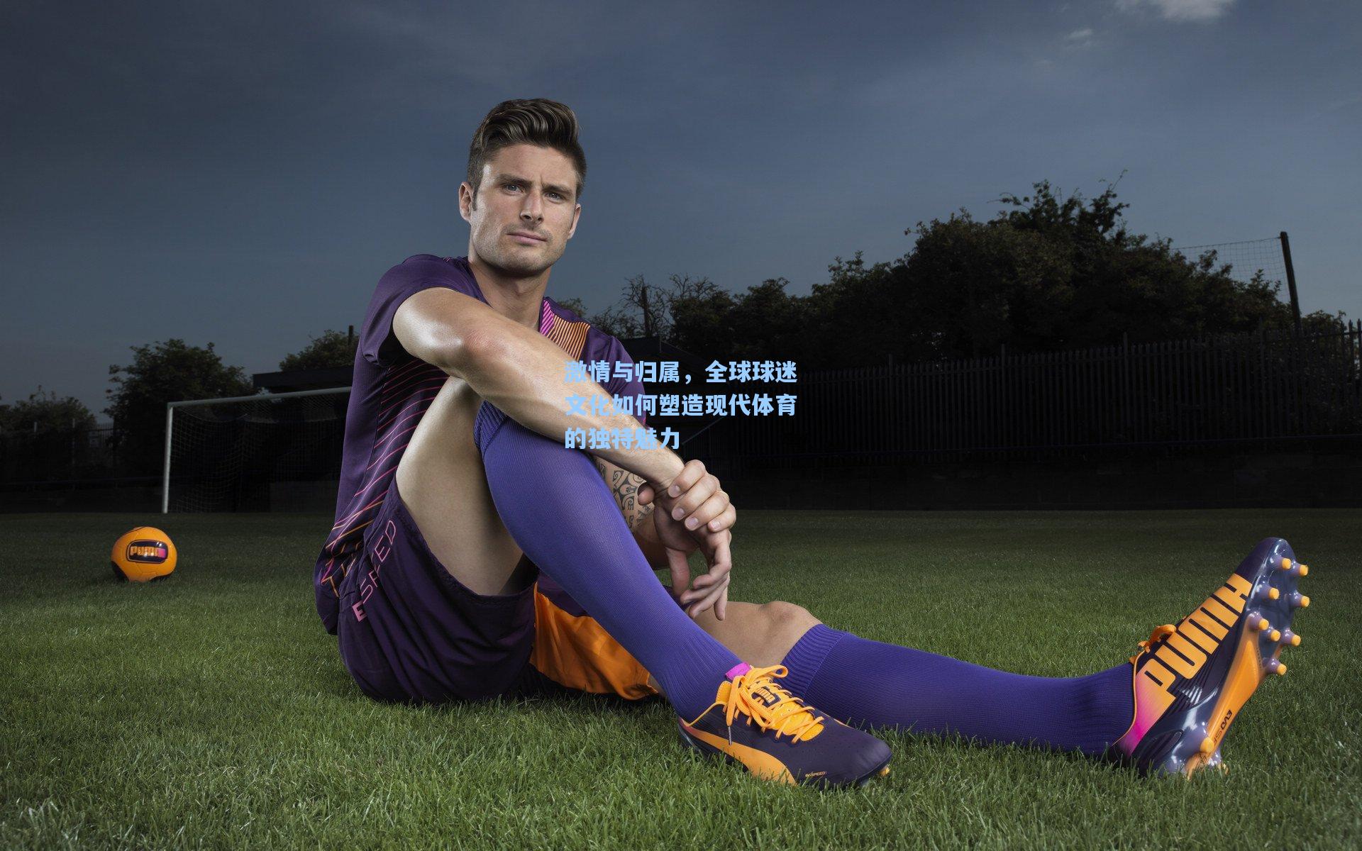 【天天盈球】激情与归属，全球球迷文化如何塑造现代体育的独特魅力