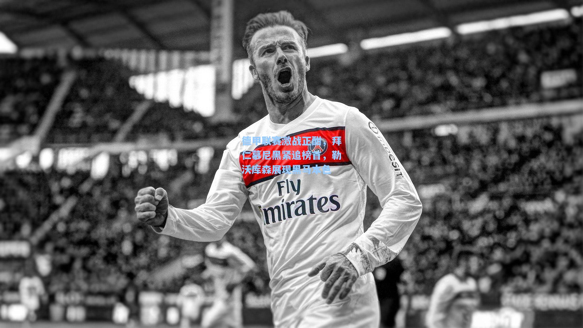 天天盈球-德甲联赛激战正酣，拜仁慕尼黑紧追榜首，勒沃库森展现黑马本色